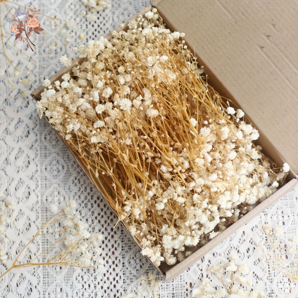 Resin Art Products - 100 Piezas de Flores Secas de