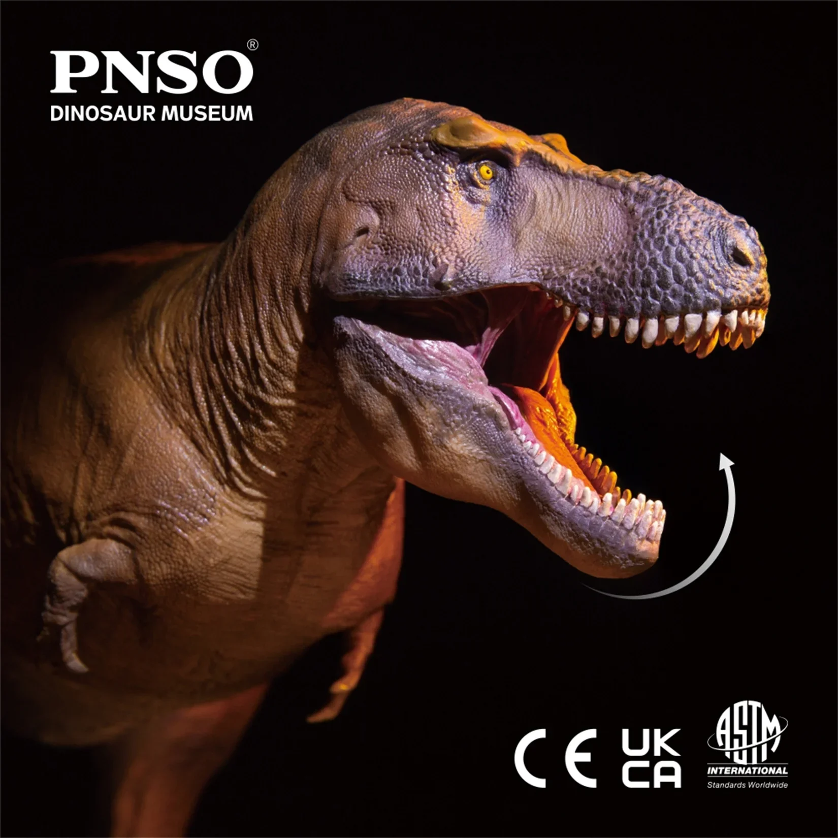 Modelo PNSO 1/35 de Tiranosaur - Resin Art Decoration Items reseña y precio