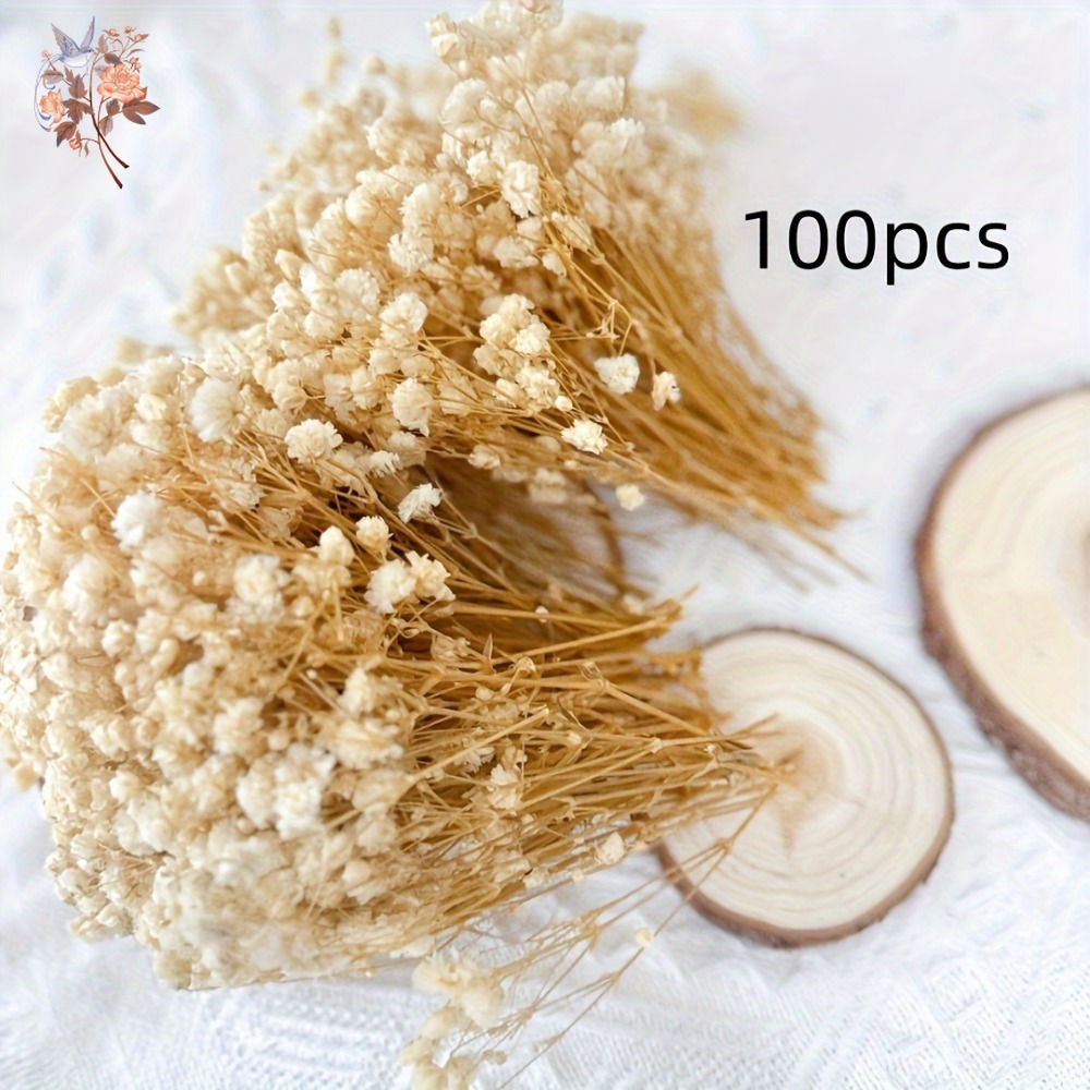 100 Piezas de Flores Secas de  - Resin Art Products reseña y precio