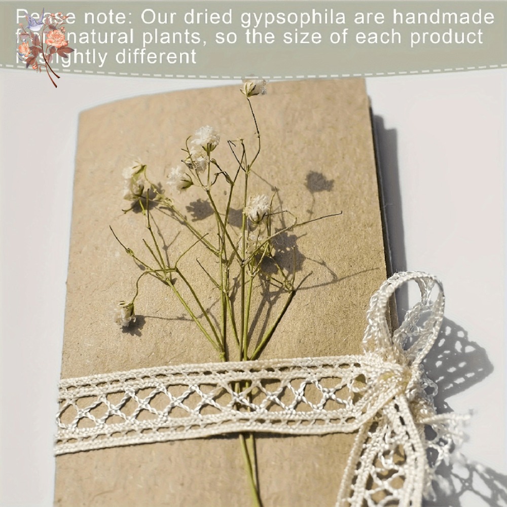 100 Piezas de Flores Secas de  - Resin Art Products reseña y precio